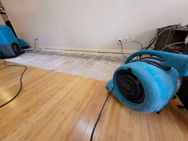Professional Structural Drying technician working in Evensville, TN